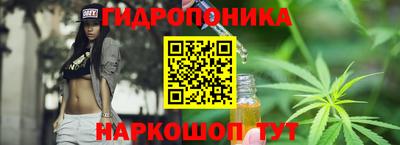 ALPHA PVP Бердск