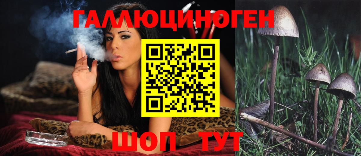 Псилоцибиновые грибы мицелий Мариинск