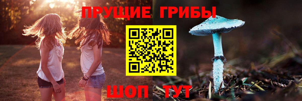 Мариинск  Псилоцибиновые грибы Psilocybine cubensis  Вход с VPN 